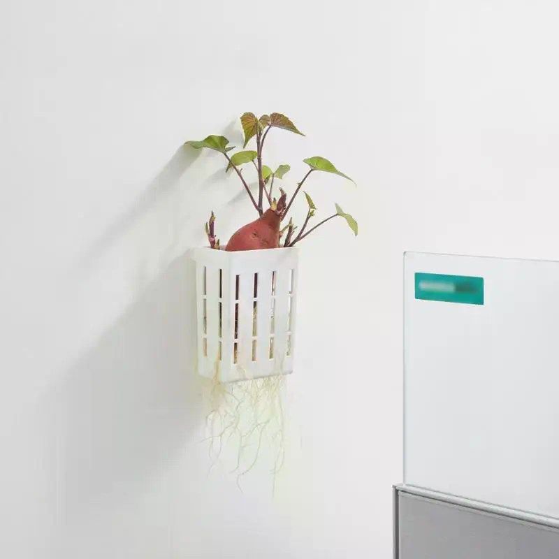 1 Stück Hydroponischer Stützko – Planted Aquarium Accessories Bewertung und Preis