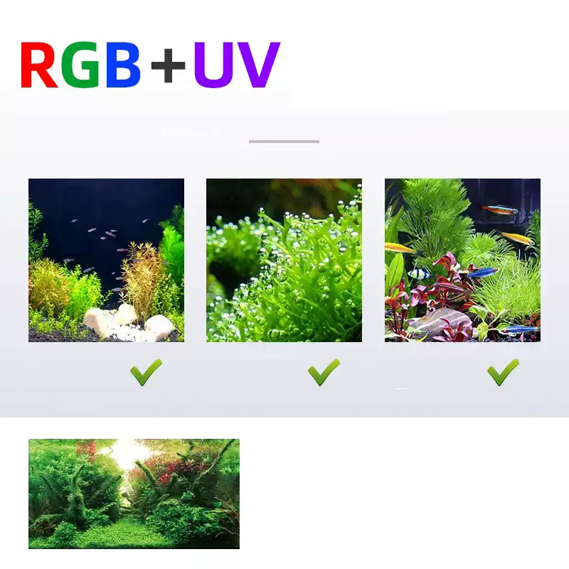 Woche Aqua L-Serie WRGB UV-Vol – Planted Aquarium Accessories Bewertung und Preis