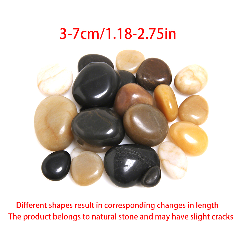 300-700g glatte Flusskiesel, D – Planted Aquarium With Fish Bewertung und Preis