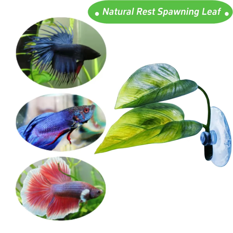 Aquarium-Zubehör Dekoration Kü – Planted Aquarium With Fish Bewertung und Preis