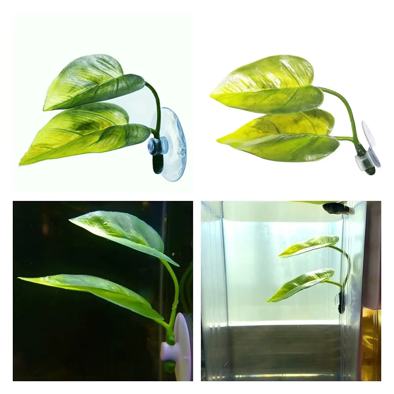 Aquarium-Zubehör Dekoration Kü – Planted Aquarium With Fish Bewertung und Preis