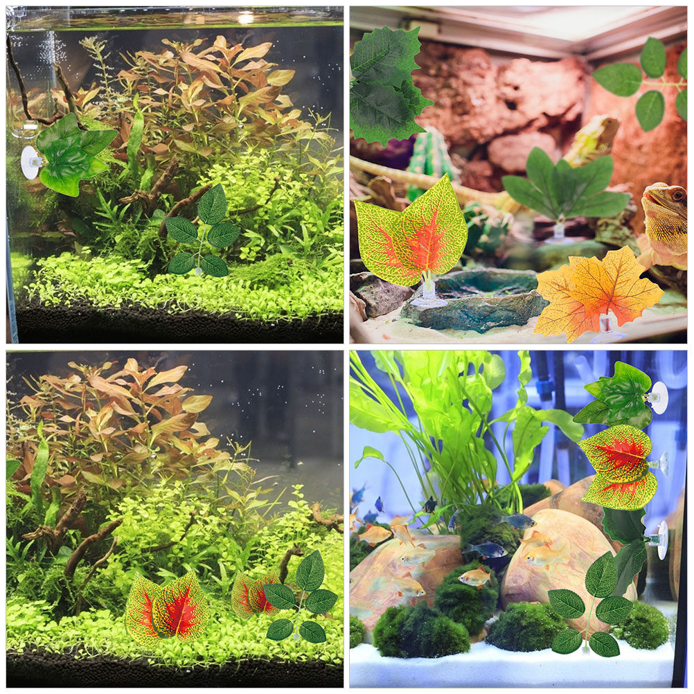 3 Stück Wassergras-Dekoration, – Planted Aquarium Care Bewertung und Preis