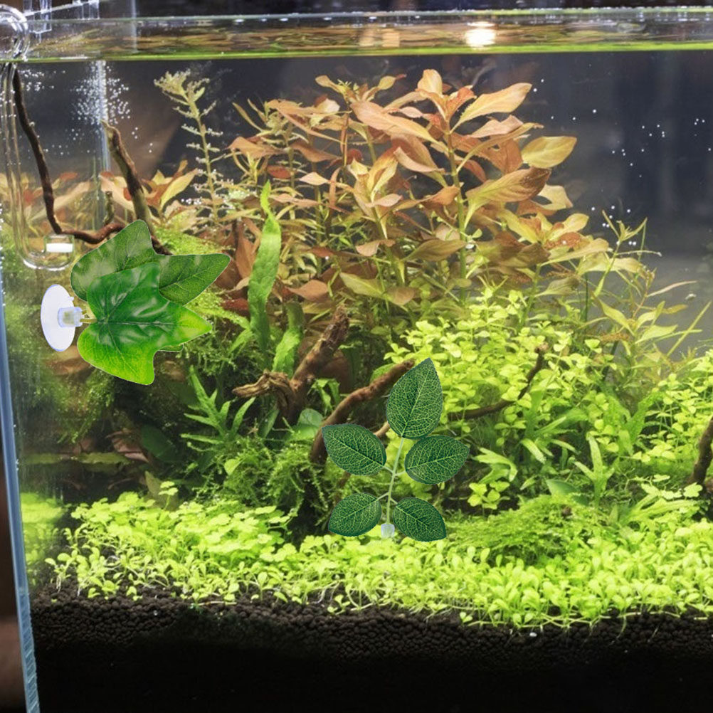 3 Stück Wassergras-Dekoration, – Planted Aquarium Care Bewertung und Preis