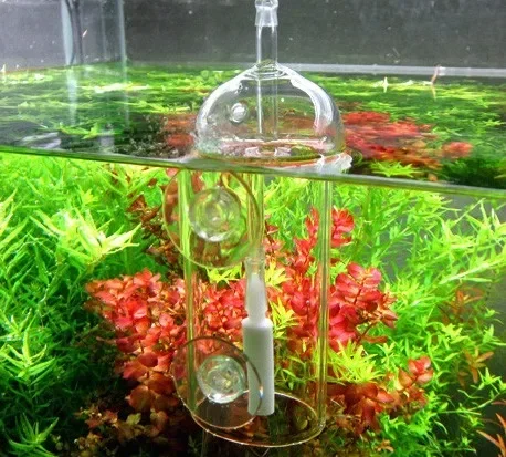 VIV Do Device Aquarium-Zylinde – Planted Aquarium Accessories Bewertung und Preis