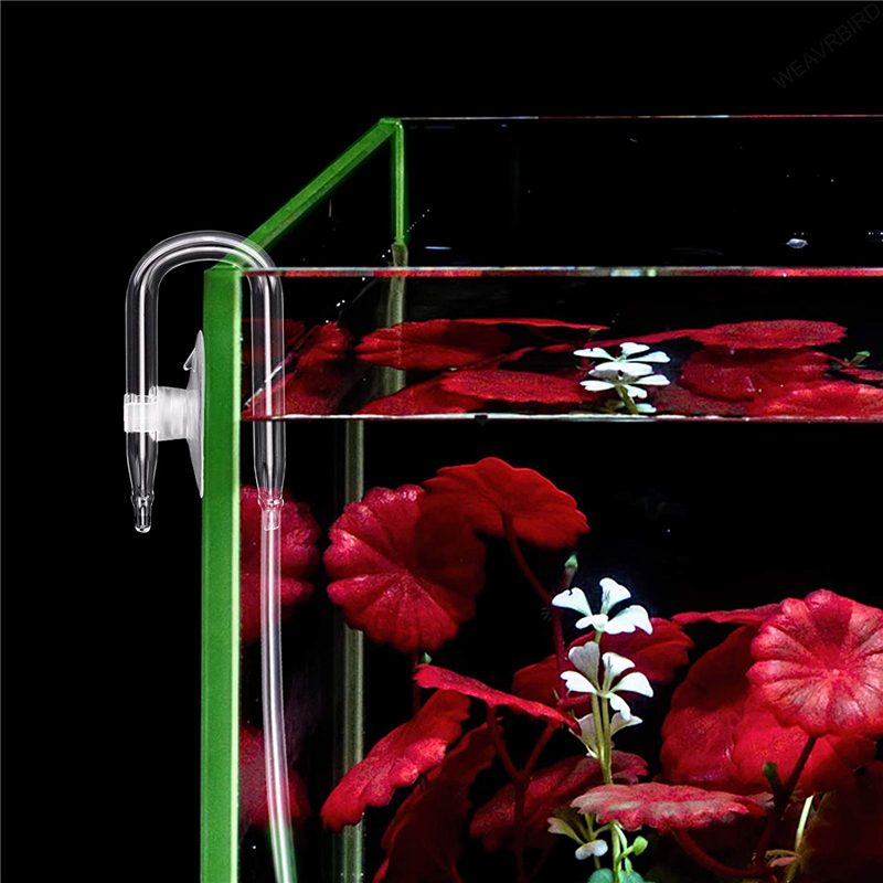 Aquarium U Förmigen Air Rohr S – Planted Aquarium Accessories Bewertung und Preis