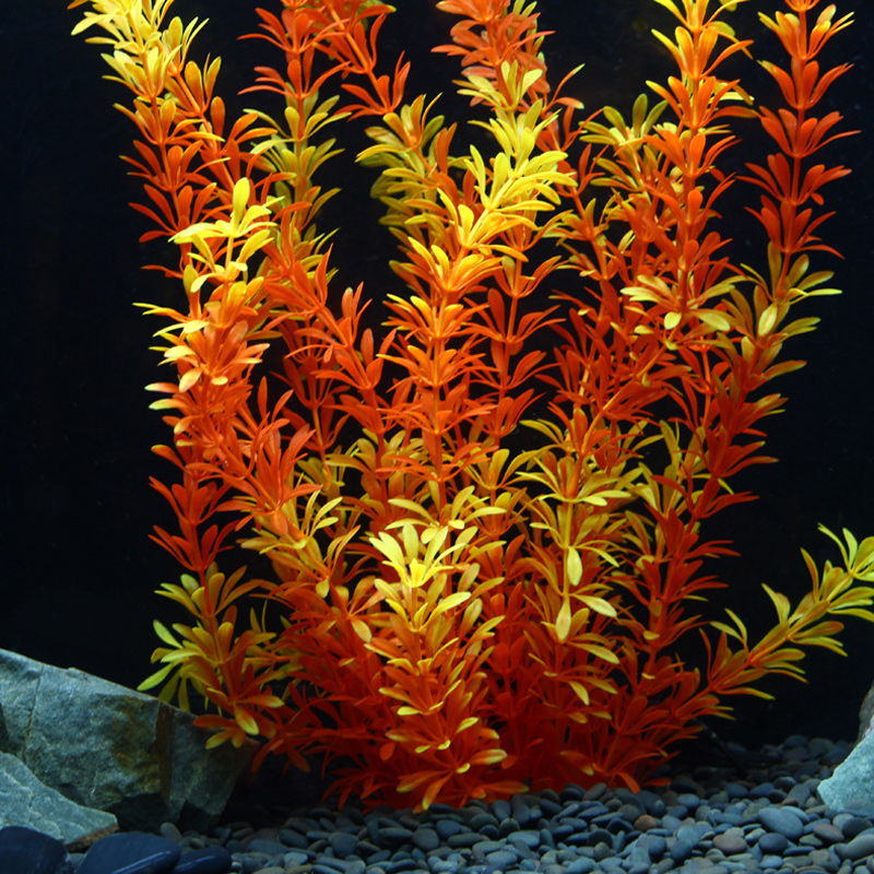 100cm Tropische Pflanzen, Groß – Planted Aquarium With Fish Bewertung und Preis