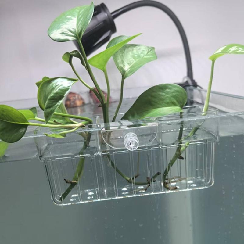 Hydroponischer Pflanzenkorb au – Planted Aquarium With Fish Bewertung und Preis