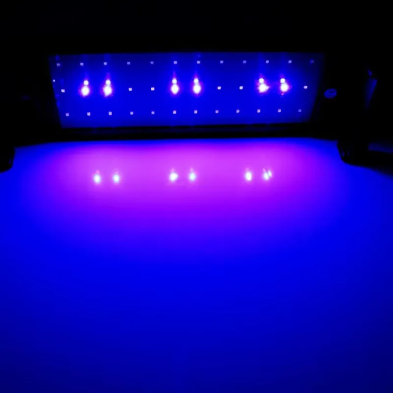 GAKO 11W ZJL-60A Meistverkauft – Planted Aquarium Competition Bewertung und Preis