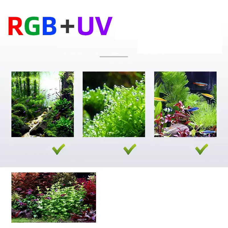 Led-beleuchtung 60 cm 80 cm 90 – Planted Aquarium Accessories Bewertung und Preis