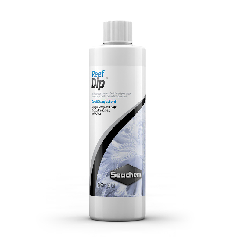 Coral Protectant Flachwurm-Ent – Planted Aquarium Care Bewertung und Preis