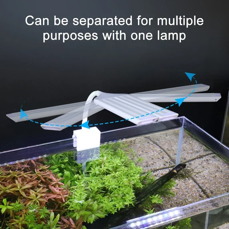 Superhelle Clip-Lampe, LED-Aqu – Aquarium Plant Diseases Bewertung und Preis