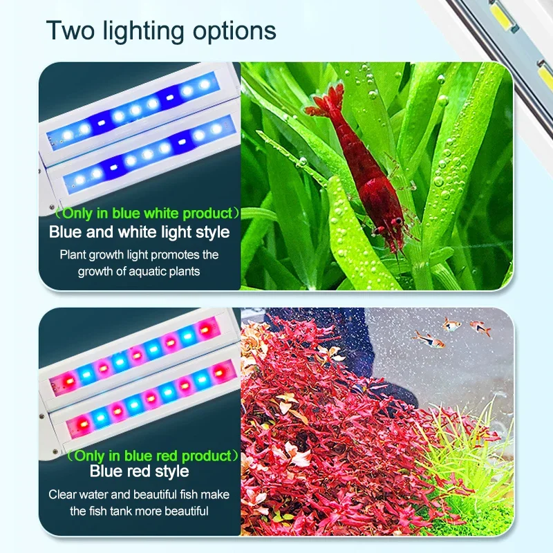 Superhelle Clip-Lampe, LED-Aqu – Aquarium Plant Diseases Bewertung und Preis