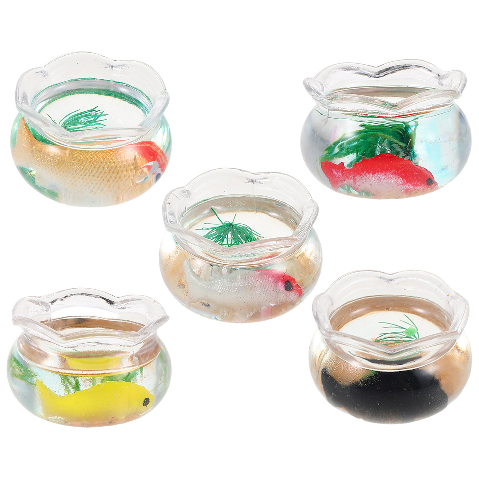 5 Stück Mini-Aquarium mit real – Planted Aquarium With Fish Bewertung und Preis