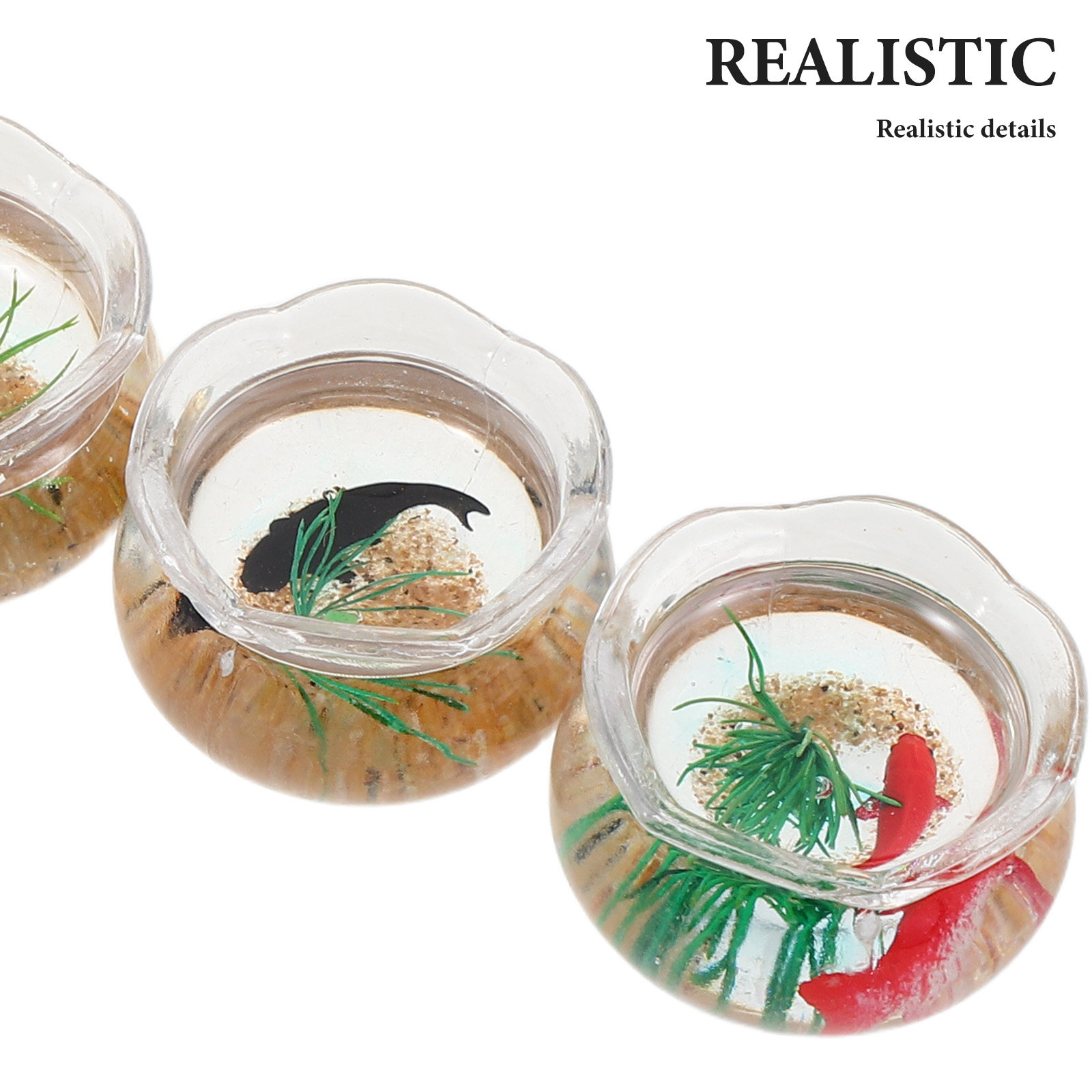 5 Stück Mini-Aquarium mit real – Planted Aquarium With Fish Bewertung und Preis
