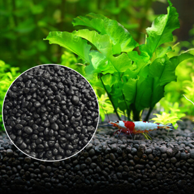 Aquarium Pflanzen Samen Boden  – Planted Aquarium Care Bewertung und Preis