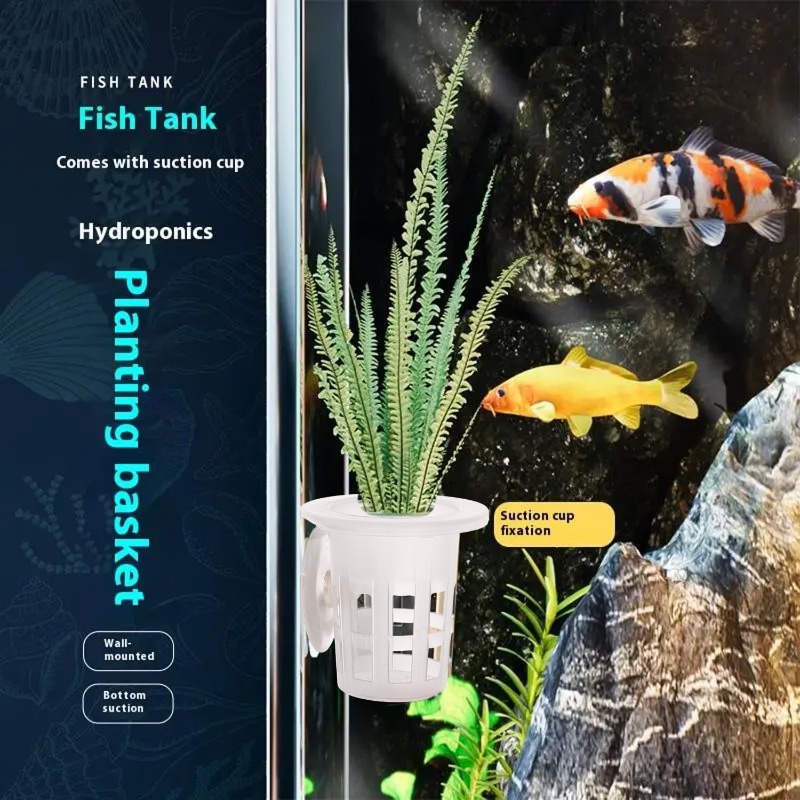 10/20/30 Stück Kunststoff-Aqua – Aquarium Plant Diseases Bewertung und Preis