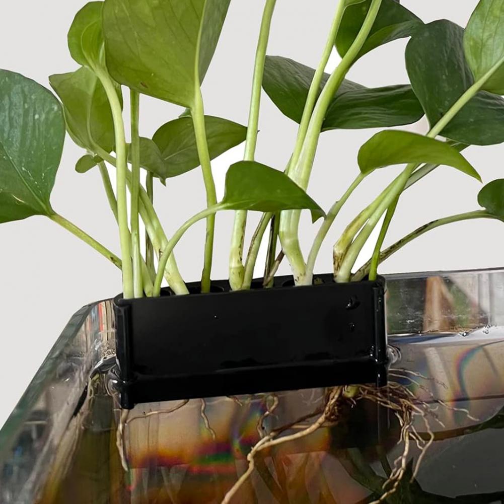 Abs-Pflanzenstützen für Aquari – Planted Aquarium With Fish Bewertung und Preis