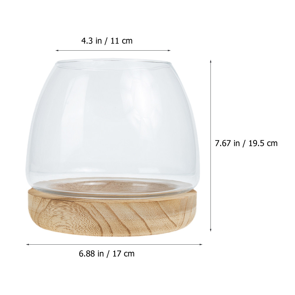 1 Set, durchsichtiges Glas-Ter – Planted Aquarium With Fish Bewertung und Preis