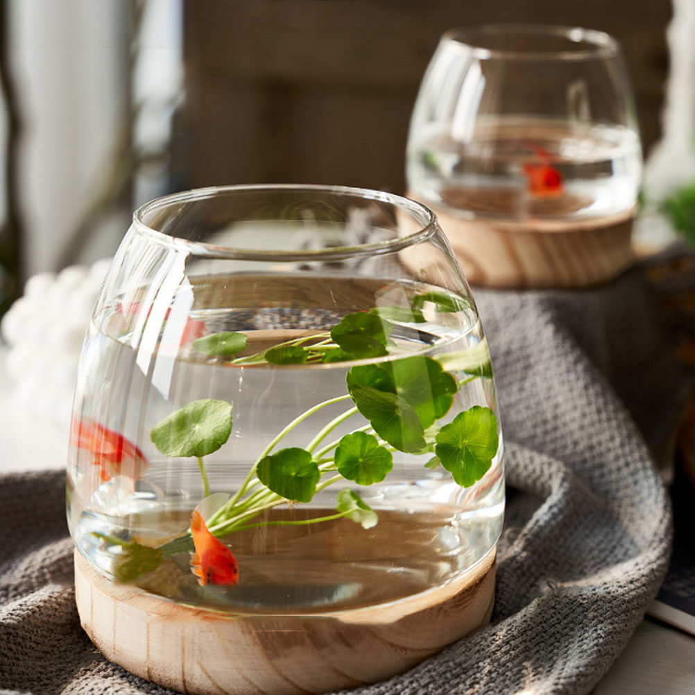 1 Set, durchsichtiges Glas-Ter – Planted Aquarium With Fish Bewertung und Preis