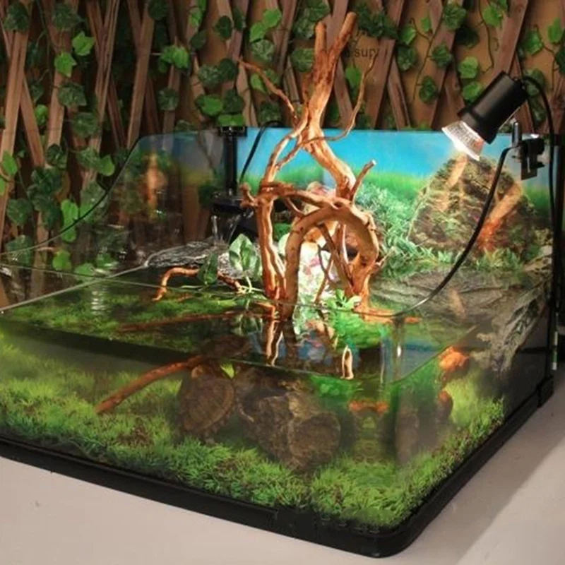 Natürliche Baum Stamm Treibhol – Planted Aquarium Making Bewertung und Preis