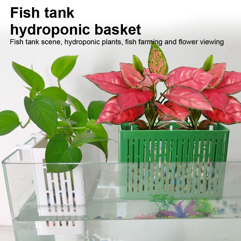 【F】Aquarium-Hängepflanzgefäß,  – Planted Aquarium With Fish Bewertung und Preis