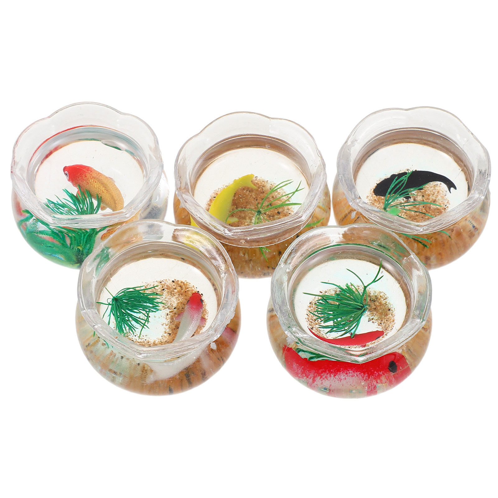 5 Stück Mini-Fischbecken, real – Planted Aquarium With Fish Bewertung und Preis