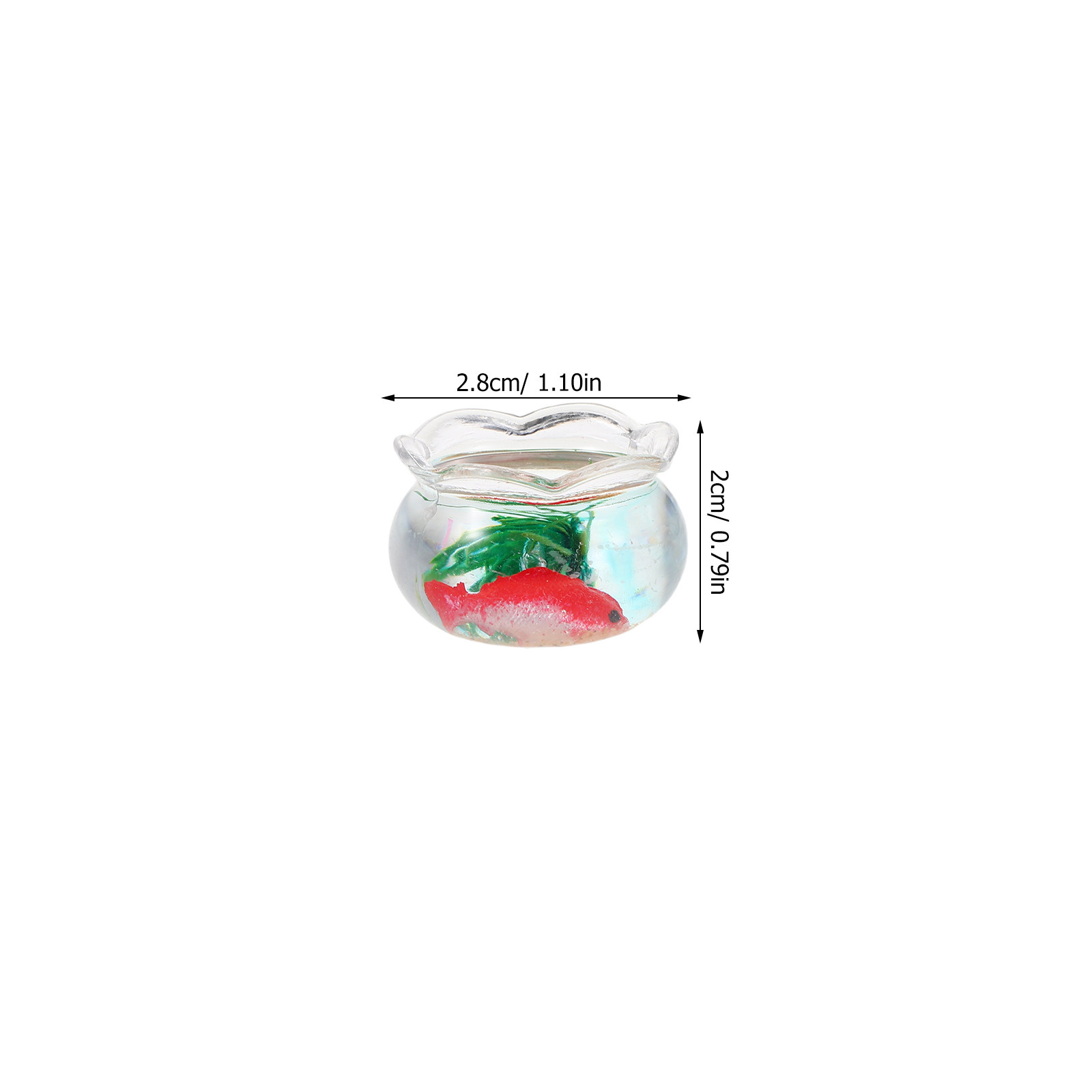 5 Stück Mini-Fischbecken, real – Planted Aquarium With Fish Bewertung und Preis