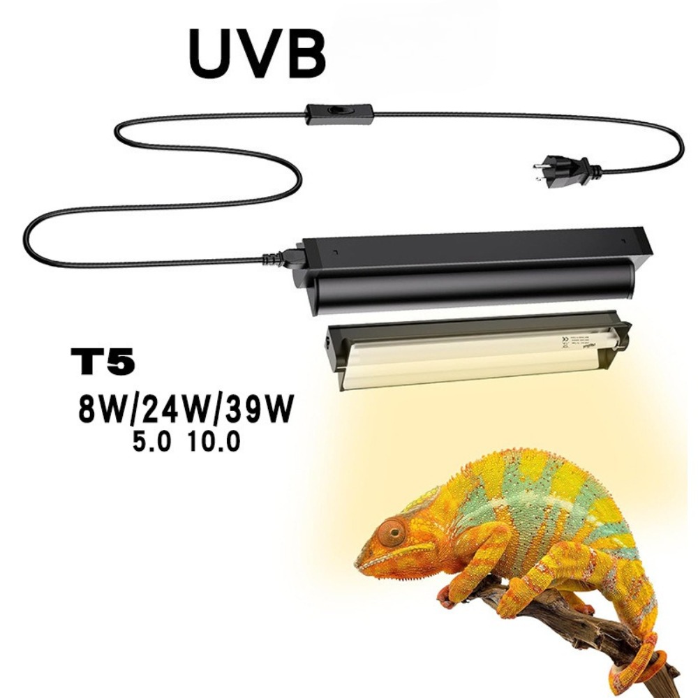 Pflanzte und Reptilien-Terrari – Led Planted Tank Light Bewertung und Preis