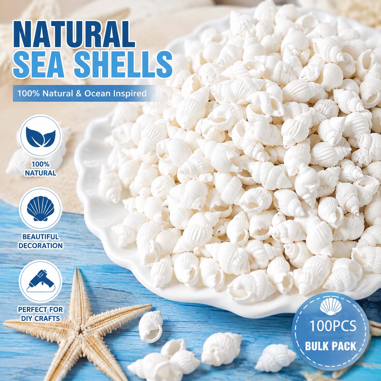 Natürlich weiße Mini-Muscheln  – Planted Aquarium Making Bewertung und Preis