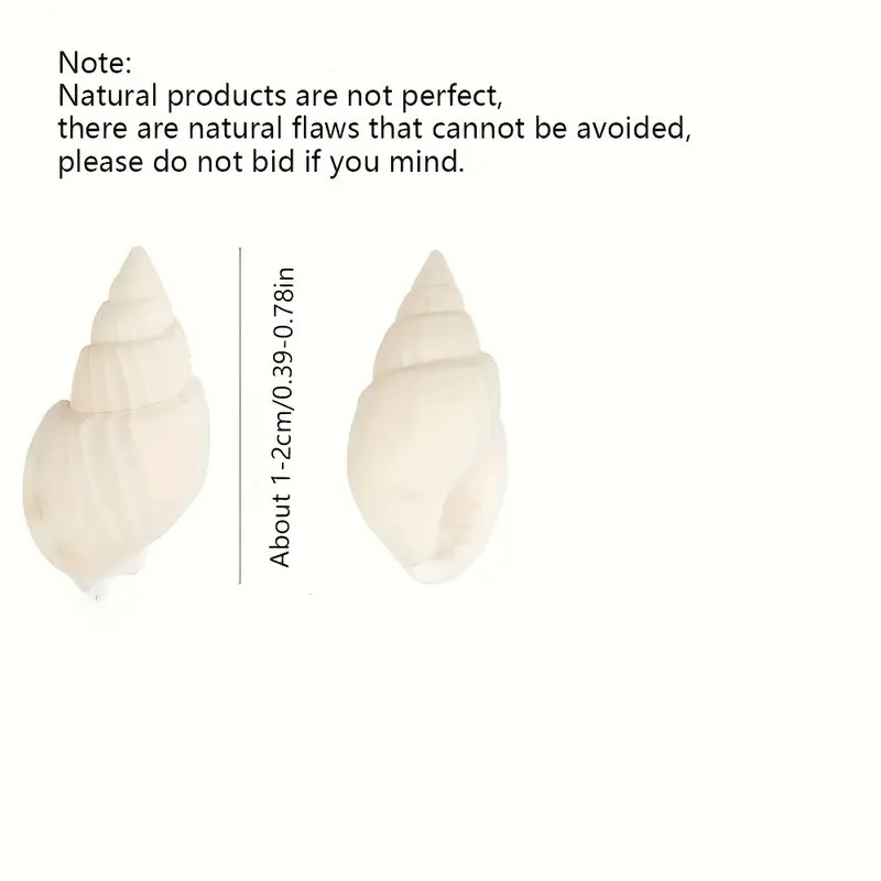 Natürlich weiße Mini-Muscheln  – Planted Aquarium Making Bewertung und Preis